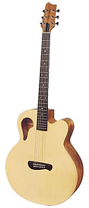 Баритон-гитара